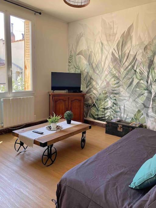 A 5 Min De L'hyper Centre A Pied Au Calme Apartment *